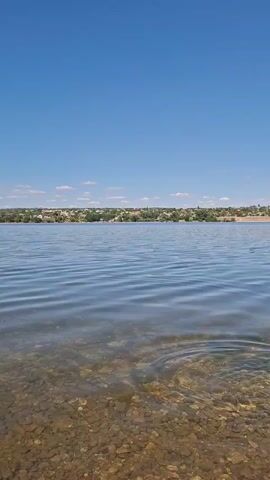 A vertical shot captures a body of water under a clear blue sky. In the foreground, the clear water reveals a rocky bottom. A splash erupts from the water's surface, followed by expanding ripples. In the background, a distant shoreline is lined with trees and buildings. The video shows a stone being skipped across the water, creating a series of splashes and concentric ripples that gradually dissipate. The sunlight glints off the water's surface, and a few wispy clouds dot the sky. The overall scene is one of a tranquil natural environment disturbed by a playful act.