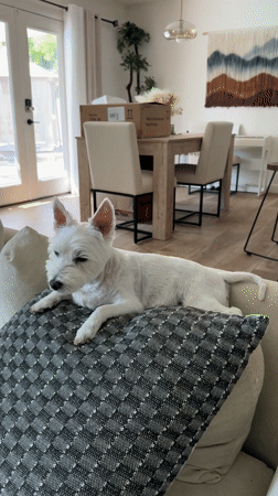 Man's morning routine documented in Palm Springs residence