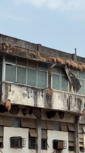 Morning street scenes documented in Shahapur, India