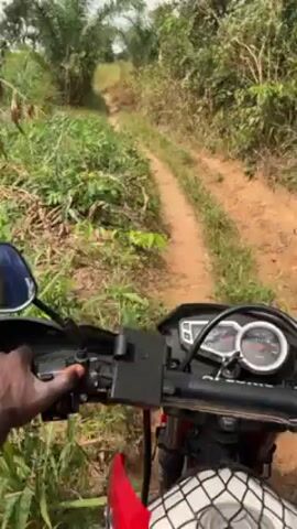 A first-person perspective shot shows someone riding a red and white dirt bike down a narrow, dirt path. The path is surrounded by green grass and small trees. The rider's left hand is visible on the handlebar. The motorcycle’s dashboard includes a speedometer, which is visible and shows the bike is traveling slowly. A phone mount is also attached to the handlebars. The sun is shining brightly, creating a slightly hazy environment.