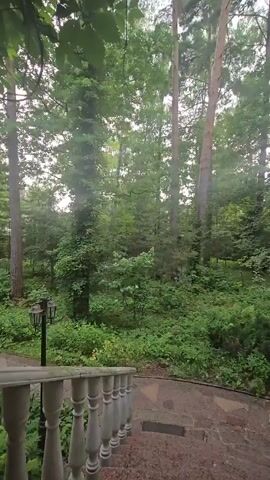 A static shot of a lush green forest with a white railing and stone steps in the foreground. The trees are tall and dense, with sunlight filtering through the leaves. There is a black lamppost on the left side of the frame. The scene appears to be peaceful and serene.
