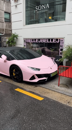 Pink Lamborghini spotted parked on Seoul street
