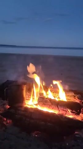 The video shows a campfire on a beach at dusk. The fire is burning brightly with flames and embers. A metal mug is placed to the left of the fire. In the background, there is a body of water and the sky is a deep blue with a hint of twilight. The sand is dark, suggesting it's either wet or it's nighttime. There are no people visible in the frame.
