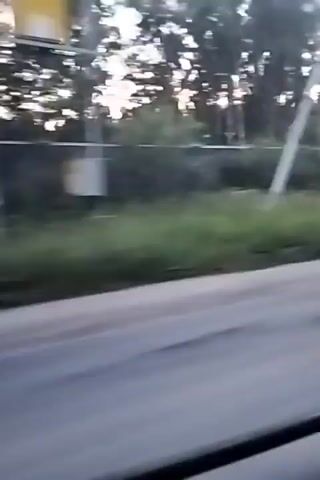 A video captured from a moving vehicle shows a roadside scene with vegetation and some structures. The footage is blurry due to motion, and the lighting suggests it might be dusk or dawn. A road surface is visible in the foreground, indicating the perspective from inside a car. Beyond the road, there is a strip of green grass and trees. Further in the background, there are hints of man-made structures, including what appears to be a fence or wall made of red bricks and some buildings with gray roofs, possibly covered with tarps. A utility pole with wires is also visible among the trees. The overall scene depicts a rural or semi-rural setting passing by.
