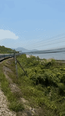 Train passenger records coastal landscape during early morning journey