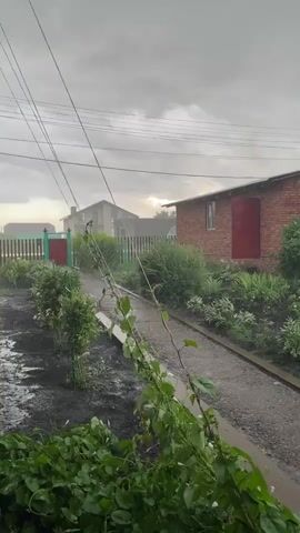 The video shows a yard during a rainstorm. The ground is wet and muddy, with puddles visible. A gravel path runs through the yard, leading towards two buildings. One building is a small brick structure with a red door. The other is a larger, lighter-colored house in the background. Lush green bushes and plants line the path and surround the buildings. Overhead, power lines crisscross the sky, which is overcast with a gray, cloudy sky. The rain is visible as streaks falling from the sky and hitting the ground. A thin vine with green leaves hangs down in the foreground, obscuring part of the view.