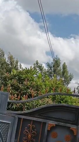 The camera pans upward, starting from a gray and brown gate, towards a view of green trees, a partly cloudy sky with a small patch of blue, and a brick and gray pillar topped with a black lantern. The scene appears to be outdoors, potentially in a residential area. Electrical wires are visible against the sky.