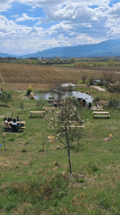 Vineyard picnic gathering captured in Хърсово, Bulgaria