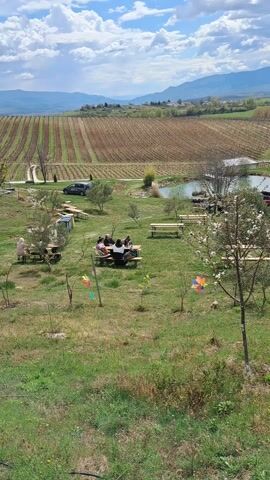The video shows a scenic view of a vineyard and surrounding landscape on a partly cloudy day. In the foreground, there's a grassy area with picnic tables where people are gathered. Some tables have people sitting and interacting, while others are empty. There are also colorful pinwheels scattered around. Beyond the grassy area is a vineyard with rows of grapevines stretching across the land. A small pond is visible to the right of the picnic area, along with parked vehicles. The background features rolling hills and mountains under a sky with scattered clouds. The camera slowly pans from left to right, offering a wide view of the idyllic setting. As the camera moves, a wooden post and metal railing come into view, framing the landscape.