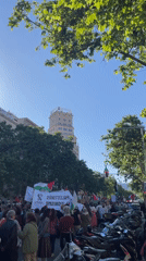 Pro-Palestinian demonstration held in Barcelona streets