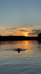 Sunset over Carnikava's lakefront on a June evening
