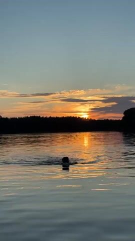A person is swimming in a lake at sunset. The sun is setting behind a silhouetted forest, casting an orange glow across the water and sky. The person is facing away from the camera, swimming towards the sunset. The water is calm with gentle ripples. The sky is a gradient of blue and orange, with some clouds present. The overall scene is peaceful and serene.