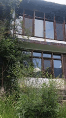 Morning scenes captured across Old Manali's mountains and valleys