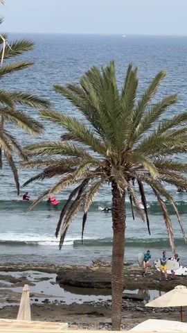 The video shows a beach scene with a palm tree in the foreground. In the background, several people are surfing in the ocean. On the shore, a few people are standing with surfboards. The ocean is blue and there are waves. The sky is overcast.