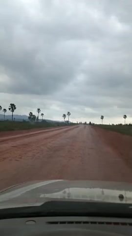 The video captures a view from inside a vehicle traveling on a dirt road. The road surface is reddish-brown and appears to be somewhat uneven, with visible tire tracks. The landscape on either side of the road is relatively flat, with green fields and scattered palm trees. The sky is overcast with thick, grey clouds, suggesting an impending rain or a cloudy day. The overall atmosphere is somewhat muted and serene. There are no other vehicles or people clearly visible in the immediate vicinity.