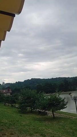 A static, vertical video captures a scenic view of a lake and surrounding forest under a cloudy sky. In the foreground, a grassy slope is visible with several evergreen trees. A decorative lamppost stands on the right side of the frame, near the edge of the lake. Beyond the immediate foreground, a body of water stretches out, bordered by a dense forest that covers rolling hills in the background. The overall impression is a tranquil, natural landscape on an overcast day.
