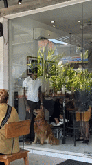 Morning cafe scene captured in Kuta Selatan, Indonesia