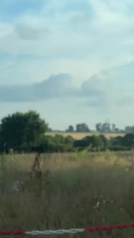 A side view of a rural landscape is visible. The foreground is dominated by tall, dry grass and some scattered plants. A red and white striped chain is strung across the scene, attached to posts that are partially obscured by the vegetation. In the midground, a field of cut stalks, likely from a harvested crop, stretches across the frame. Beyond this field, a dense line of green trees forms a natural border. In the distance, a tall, metallic electricity pylon stands out against the sky. The sky itself is a mix of blue and white clouds. A white car side mirror is visible in the lower left corner of the frame. The scene appears to be captured from a moving vehicle, given the slight blur and the perspective.