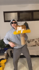 Man dances with cat on furniture in Montenegro apartment