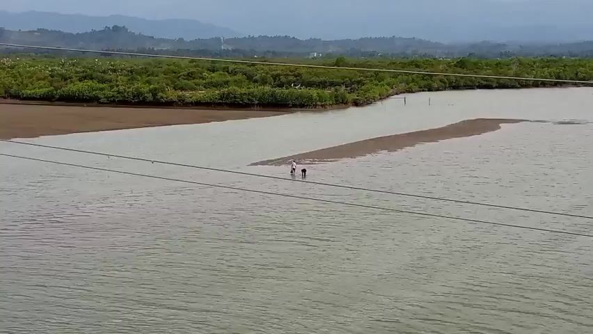 The video captures a wide shot of a murky river with a sandbar in the middle. Two figures, appearing to be people, stand in the shallow water on the sandbar, possibly fishing or wading. The riverbanks are lined with dense green vegetation, likely mangroves, and in the background, hills rise up, partially obscured by a hazy sky. Power lines stretch across the foreground of the image, dividing the frame horizontally. The overall atmosphere is overcast and natural.