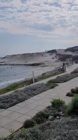 The video shows a seaside promenade with a paved walkway lined with plants. The sea is visible on the left, with small waves breaking on a pebble beach. In the distance, white cliffs rise above the beach, and a few people can be seen walking on them. The sky is blue with scattered clouds. The camera pans slowly to the right, revealing more of the sea and the coastline.