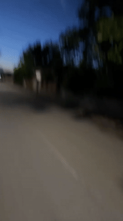 Evening dog walk through quiet streets of Malevo at dusk