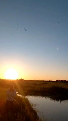 A person stands in a field of tall grass next to a narrow body of water. The sun is setting on the left side of the frame, casting a warm orange glow over the scene. The sky is a gradient of blue and orange, with several birds flying in the distance. The person is holding a long, thin object. The video briefly blurs before refocusing.