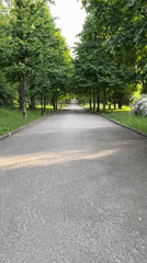 Morning park scenes documented in Ternopil, Ukraine