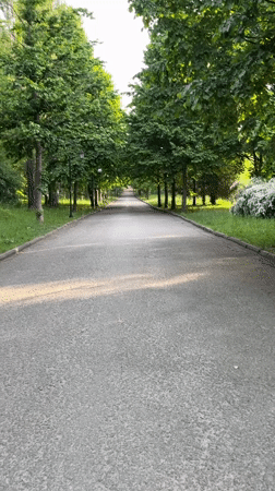 Morning park scenes documented in Ternopil, Ukraine