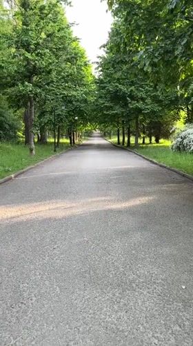 Morning park scenes documented in Ternopil, Ukraine