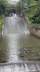 Morning documentation of Telaga Tunjung dam operations in Penebel