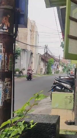 Here is a concise description of the video:

The video shows a view of a narrow street in what appears to be a residential neighborhood. Several people on motorcycles are riding down the street. There are houses and buildings lining the street, and telephone poles with wires running overhead. Motorcycles are parked on the side of the road. A green leafy plant sits in the foreground. The weather appears to be overcast.
