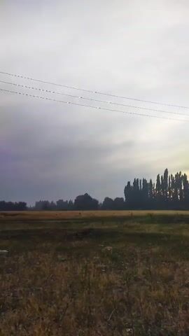 The video shows a rural landscape with a field in the foreground and a line of trees in the background. A utility pole with wires runs across the scene. The sky is overcast, and the overall lighting suggests it is early morning or late evening. The field is covered in dry, tall grass, and there are some dark patches of soil or vegetation. There are no people or animals visible in the video. The scene is static, with no discernible action taking place other than the slight movement of the camera.