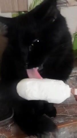 A black cat is shown licking a white object that resembles ice cream or frosting on a stick. The cat is sitting down and appears to be enjoying the treat. The background is slightly blurred but shows a wall with a wood-grain pattern and a lighter wall with a picture of green leaves and fruit.