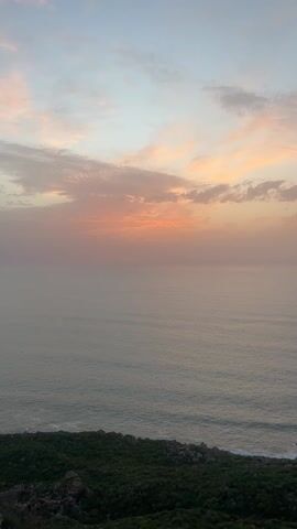 The camera films from a high vantage point, capturing an ocean view at dawn or dusk. The sky is streaked with pink and orange clouds near the horizon, fading to pale blue higher up. A calm ocean stretches to the horizon, with gentle waves breaking on a rocky shoreline. The foreground features green vegetation and rocks, partially obscuring the shoreline. The camera is still, providing a static view of the tranquil scene.