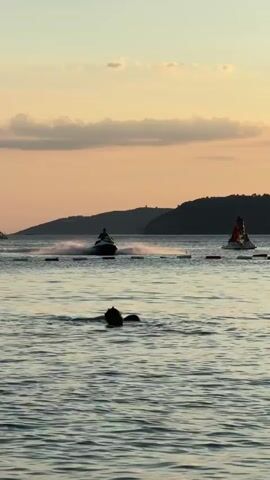 A tranquil body of water is depicted at sunset. In the foreground, a person is swimming, partially submerged. In the mid-ground, two jet skis are active. One jet ski, closer to the viewer, is being operated by a lone individual and is kicking up a significant spray of water. Further back and to the right, another jet ski carries two people. In the background, rolling hills or mountains form the coastline, silhouetted against the warm hues of the sunset sky, which is adorned with wispy clouds. Several buoys or markers are visible in the water, demarcating areas. The overall atmosphere is peaceful, with the soft light of dusk creating a serene mood.