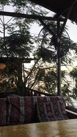 This video shows a serene outdoor scene, likely from a cafe or restaurant with a view of the sea. The foreground is dominated by a wooden table and a cushioned bench with intricate patterned upholstery. Behind the seating, lush green trees with branches extending towards a covered roof create a natural canopy. A large, industrial-style fan is mounted on a wooden pole amidst the foliage, suggesting a warm climate where such cooling devices are necessary.

The background reveals a body of water, presumably the sea, stretching towards a distant horizon with silhouetted hills or mountains. The sky is a soft gradient of pale blue and muted orange hues, indicating either sunrise or sunset. The sunlight filters through the leaves of the trees, casting a warm glow and creating dappled shadows, enhancing the peaceful ambiance. The overall mood is tranquil and relaxing, perfect for enjoying the natural beauty of the location. The video does not contain any visible text. Given the location context of Milas, Turkey, this scene likely depicts a picturesque coastal view enjoyed from a seaside establishment.