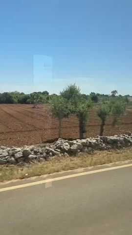 The video shows a view from inside a moving vehicle, looking out at a rural landscape on a sunny day. The sky is a clear blue. A road with a yellow line is visible in the foreground. Beyond the road, there is a stretch of dry grass leading to a low stone wall made of stacked rocks. Behind the wall is a field of tilled reddish-brown soil, dotted with small trees and shrubs. In the distance, there are buildings and more trees. A reflective sign with the partial word "ENT" is visible through the vehicle's window, causing a distorted reflection of the landscape. The camera is presumably stationary within the moving vehicle, capturing the passing scenery.