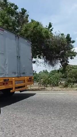 A white and blue tractor-trailer truck drives along a paved road. The side of the truck has horizontal ridges. The truck has a bright yellow chassis and frame. Two pairs of tires are visible on one side of the trailer. The tractor is white and blue, with a dark front bumper. The side of the road has low vegetation and trees. A small building is visible in the distance. The sky is blue with light, puffy clouds. The truck moves quickly past the camera.