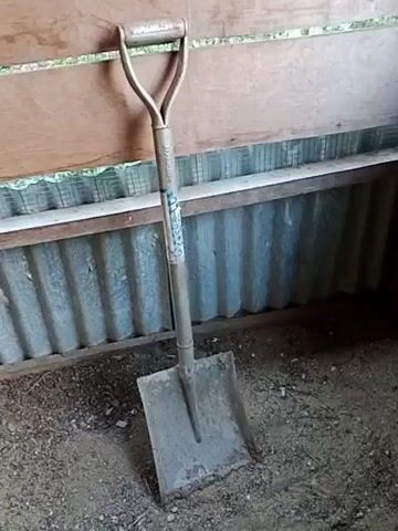 A shovel rests on a sandy floor leaning against a wooden wall. The shovel has a D-shaped handle and a square metal blade. The background consists of a corrugated metal wall with a wooden plank above it. The lighting suggests an indoor or covered outdoor space.