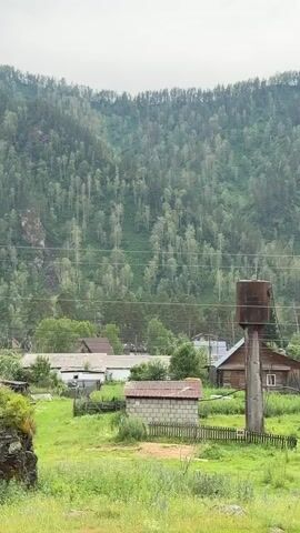 The video shows a rural village nestled in a valley at the base of a densely forested mountain. Several wooden houses with various roof colors, including blue and white, are scattered throughout the village. Some houses appear older and in disrepair, while others seem more maintained. Fences and small outbuildings are also visible. A large, verdant tree stands prominently in the foreground on the left side of the frame, with its leaves full and green. The mountain behind the village is covered in a thick forest of deciduous and coniferous trees, with some patches of bare rock. The sky is overcast, suggesting a cloudy or misty day, and the overall lighting is soft and diffused, typical of a cloudy day. The scene evokes a sense of peaceful, rural life, with the natural landscape dominating the view. The activity taking place is likely the normal daily life of the villagers, though no people are explicitly visible in the frame. The location is identified as Cheposh, Russia, which aligns with the visual cues of a mountainous, forested landscape common in that region. There is no visible text in the media.
