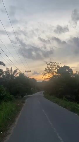 A vertical video captures a road winding through a landscape of trees and vegetation during what appears to be sunset. Power lines run diagonally across the upper portion of the frame. The sky is a mix of gray clouds and a warm, orangey glow near the horizon, indicating the sun is low. On the left side of the road, a dirt embankment is visible with some sparse grass and debris. A wooden utility pole with electrical equipment stands prominently on the left. The road itself is paved and appears to be slightly wet in places. Lush green foliage, including palm trees, borders both sides of the road, creating a natural, somewhat rural or tropical atmosphere. The camera is in motion, moving forward along the road. There are no people visible in the video.
