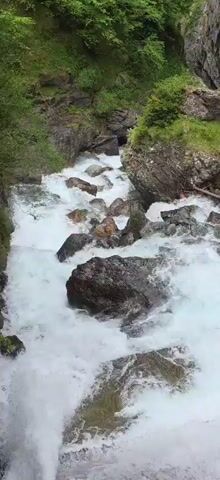 The video displays a powerful river flowing rapidly through a rocky, mountainous canyon, characteristic of a natural landscape in Sahún, Spain. The river water is turbulent and foamy, creating numerous white rapids as it navigates around large, dark grey rocks embedded in the riverbed.

The banks of the canyon are steep and rugged, primarily composed of grey rock formations. These rocky slopes are heavily adorned with lush green vegetation, including various trees, bushes, and moss, indicating a vibrant natural environment.

The camera captures different angles of the scene, initially focusing on the fast-moving water and then panning upwards to reveal more of the imposing canyon walls and the dense greenery clinging to them. A large, moss-covered rock is visible in the foreground during the pan.

No people, structures, or discernible text are present in the video. The scene is illuminated by natural daylight, suggesting it is daytime. The overall impression is one of a dynamic and wild natural setting, dominated by the sound and sight of rushing water within a verdant canyon.