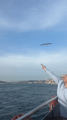 Ordinary afternoon moments captured in Üsküdar: seagulls, boats, street traffic