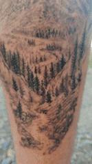 Tattooed person with beetle observed in Rubí, Spain