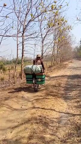 A person wearing a hat rides a bicycle down a dirt road. The bicycle is loaded with two large green bags, one on top of the other, secured with straps. On either side of the rear wheel are green basket-like containers filled with items. The road is flanked by dry grass and trees with bare branches, suggesting a dry season. The sky is clear and bright.
