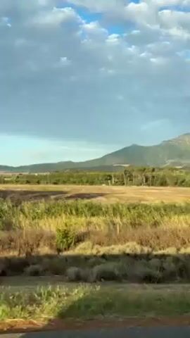 The video shows a landscape of rolling hills and fields under a partly cloudy sky. In the distance, a mountain range stretches across the horizon. The fields in the foreground are predominantly yellow and brown with patches of green vegetation. The camera appears to be moving, likely from a vehicle traveling along a road.