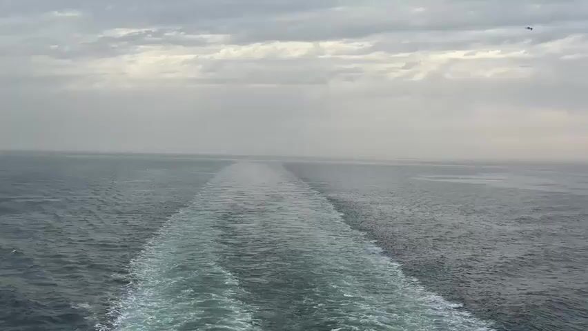 The video shows the wake of a ship moving through the ocean. The water is choppy and gray, and the sky is overcast. Several distant ships are faintly visible on the horizon. The wake is a foamy white trail that stretches out behind the boat.