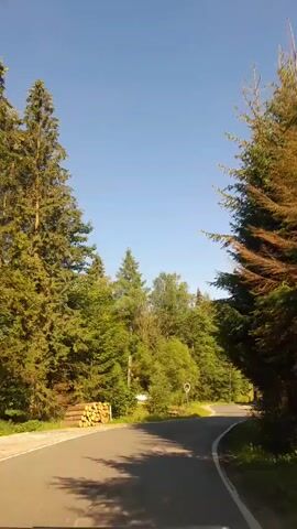 The video shows a view from a moving vehicle on a paved road. The road curves to the right, flanked by trees and some houses. On the left side, a pile of cut logs is visible. On the right side, there are houses with tiled roofs and a power pole with wires. The sky is clear and blue. The video appears to be taken during the daytime.