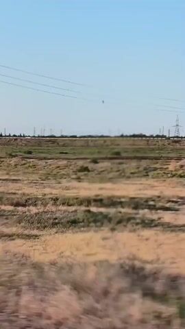 A low-angle, side-facing, blurry video shows a landscape with dry grass and bushes. There are power lines and some buildings in the distance. The video appears to be shot from a moving vehicle.